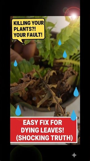 "Your Dying Plant Can Be Saved! 🌱 Watch This Before It’s Too Late!"