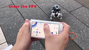 Battle bots you can afford shoot each other in first person view