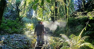 Down to Earth Off the Beaten Track Glow Worm Tour