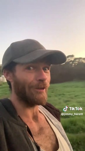 Weird Things from the Swamp at Dusk: Kangaroo Encounters