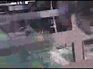 Abandoned Sawmill Northern Alberta