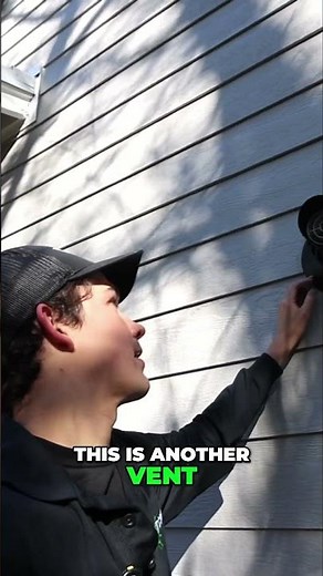 Pest Proof Your Home Essential Exterior Checks