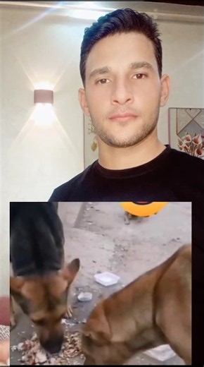 اتحداك مش هتقدر تمسك نفسك من الضحك 😂😂😂😂😂😂