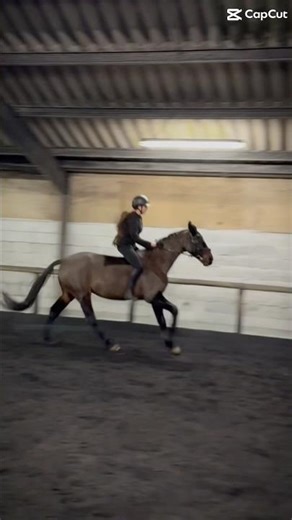 My first time cantering bareback on Nina!! Don’t mind how I’m like 1 metre from her back😭