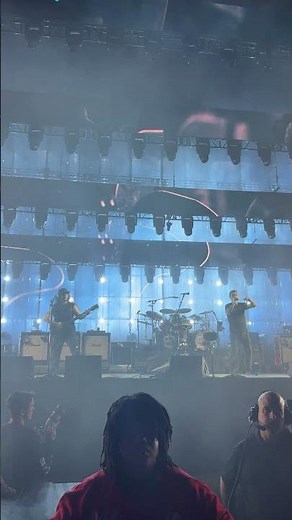 Deer Dance - System of a Down (live at Soldier Field) #systemofadown #concert #livemusic #soad