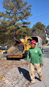 👉 Tree Service project in 📍 Lawrenceville, GA . 📞Call us for a free estimate ☎️(678) 457-3487 ☎️(678) 677-9102 . . . #trees #treeremoval #treework #arborist #tree #stihl #stumpgrinding #treecare #landscaping #treetrimming | Jireh Tree Services & Landscaping