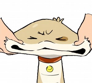 捏臉臉～ Pinch the cheeks~ ＝＝＝＝＝＝＝＝＝＝＝＝＝＝＝＝＝＝ 嗨～大家 小狗蛇 snake spot 也有自己的粉專嘍🎉 歡迎大家來和點點做朋友 ❤️ Hi everyone! Snake Spot the now has its own fan page 🎉 You're all welcome to come and be friends with Spot ❤️ 👇👇👇👇👇👇👇 小狗蛇 snake spot 🖕🖕🖕🖕🖕🖕🖕 #小狗蛇 #點點 #狗狗 #蛇蛇 #幺菁 #幺了個菁 #Yogin #影片 | Sharkitty