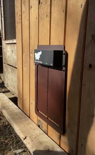 RUN-CHICKEN Automatic Coop Door - Ready-Set-Go!