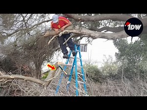 TOTAL IDIOTS AT WORK #700 | Instant Regret Fails Compilation 2025 | Best of the Week