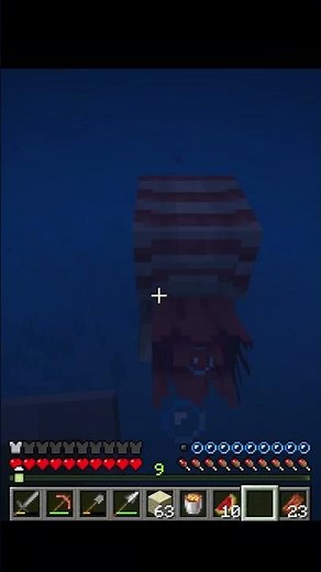 Comment apprivoiser le nautile #minecraftfr