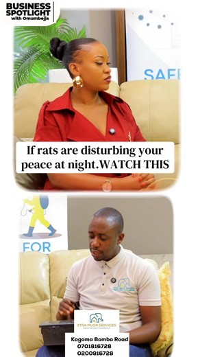 Effective Strategies to Deal with Nocturnal Rats