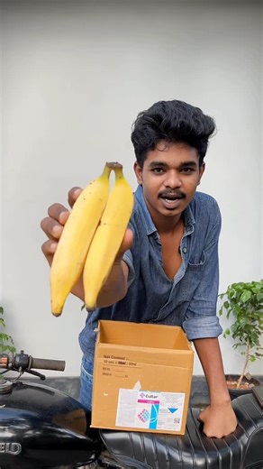 Farm Store on Instagram: "Using Ethephon to artificially ripen fruits is considered an illegal method if the fruit is directly sprayed or dipped into the chemical solution, which poses health risks like gastrointestinal issues and neurological effects due to residual chemical exposure. While Ethephon is an approved source for generating ethylene, the natural ripening hormone, it can only be used in approved chambers and within prescribed safety guidelines, such as the Standard Operating Procedur