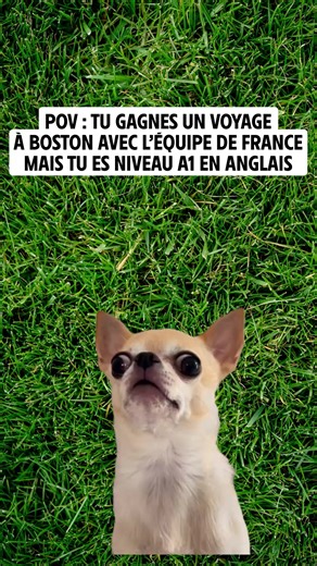 Participez au Beau Jeu d’Intermarché sur notre appli et tentez de gagner une visite du centre d’entrainement des bleus à Boston. Et c’est seulement sur l’Appli. Bonne chance ! Du 02/02/2026 au 01/03/2026, jeu avec obligation d’achat sans montant minimum et réservé aux porteurs de la carte de fidélité. La date de l’entrainement à Boston sera communiquée ultérieurement au gagnant et à son accompagnateur. Règlement complet disponible sur intermarche.com.