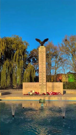 The Most Beautiful Morning View You’ll See Today 🌅✨ #shorts #reels #trending #viral #nature#youtube