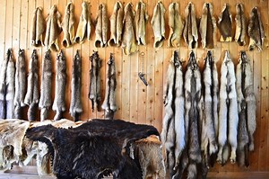 overview of the fur trade