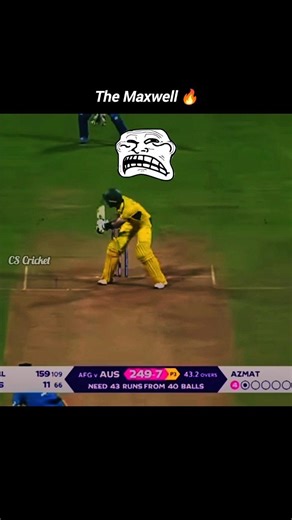 The Maxwell 🔥#shorts #cricket #youtubeshorts