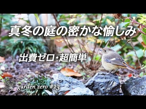 真冬の庭のひそかな楽しみ【出費ゼロで想定外の楽しさ♪】