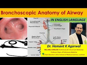 (ENGLISH) Bronchoscopic Anatomy of Airway/ Basics of Bronchoscopy/ Segments Identifications @Hemant