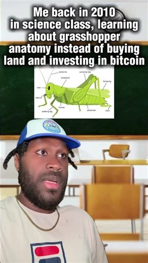 Studied insects instead of investments 💀 #relatable #schoolmemes #bitcoin #adulting #funnyshorts