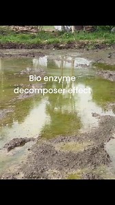 Bio enzyme effects | Noel Agritv