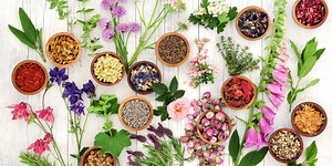 5 flowers for your garden that will boost your mood and calm your mind