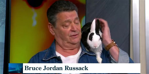 Boo the emotional support rabbit and his best friend Bruce