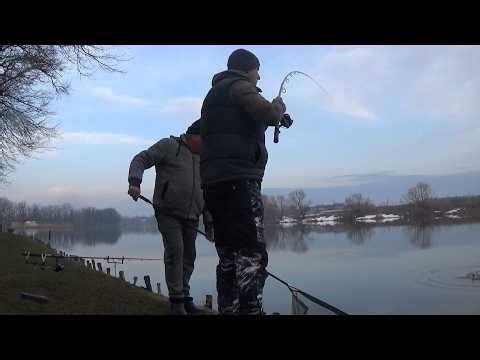 SUPER GAME AT FEEDER ON BALTA CREAȚA 3🎣 FIRST GAME OF THIS YEAR🎣05.03.2026🎣