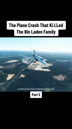 Understanding the Tragic Plane Crash Involving the Bin Laden Family