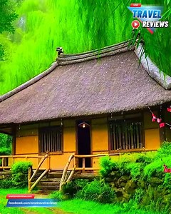 48K views · 10K reactions | 李 | One travel reviews | Facebook