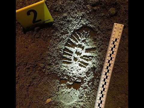 Snap that crime scene - photography basics