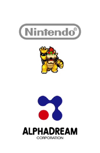 Nintendo/AlphaDream Corporation (2009) #2