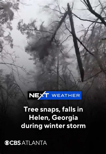 Video captured a tree snapping in half before falling in Helen, Georgia on Sunday, Jan. 25 during the winter storm. 🎥 Video courtesy of LRS Land Service.