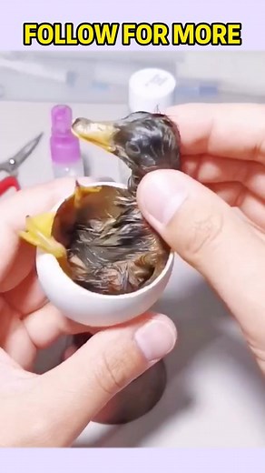 o45kihywcf on TikTok