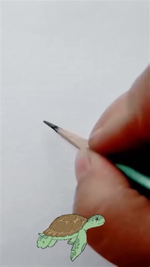 Turtle Drawing Trick Tutorial