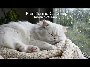 10 HOURS Gentle Rain Sounds | Pure Rain for Sleeping & Relaxation
