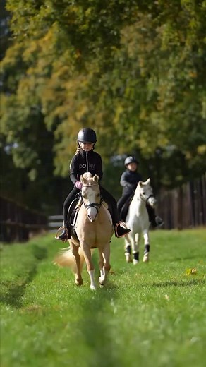 Kindheit, wie sie sein soll: frei, fröhlich und voller Pferdeglück. 🐴☀️ Mit HKM Kinderkleidung sind kleine Reiterinnen und Reiter perfekt ausgestattet – ob beim ersten Ausritt auf dem Lieblingspony oder beim Toben im Stall. Funktional, bequem und liebevoll designt – für Mädchen und Jungen, die Pferde lieben. 🇬🇧 Childhood as it should be: free, joyful, and full of pony magic. 🐴☀️ With HKM children’s clothing, young riders are perfectly outfitted – whether it’s their first pony ride or playtim
