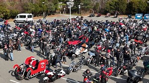 Brookhaven Today - Teddy Bear Run | Town of Brookhaven
