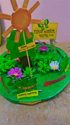 Food chain 3d model || school project for science exhibition...#schoolproject #foodchain#diy