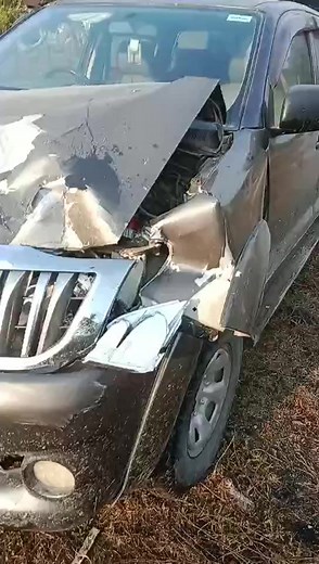 13K views · 108 reactions | Could be Elephant Rinpoche's notorious behavior! | Hello Bhutan | Facebook