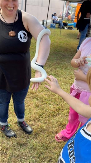 8.9K views · 46 reactions |  It’s a perfect fall day in downtown Baldwin! The 8th Annual Baldwin Fall Festival is happening today (10/18) until 8PM — with FREE fun for the whole family! Enjoy face painting, games, food, rock climbing, Photo Booth, shopping, snakes, live music & more! ✨ Come join the fun! #BaldwinGA #FallFestival #MountainsAndMain | Mountains and Main | Facebook