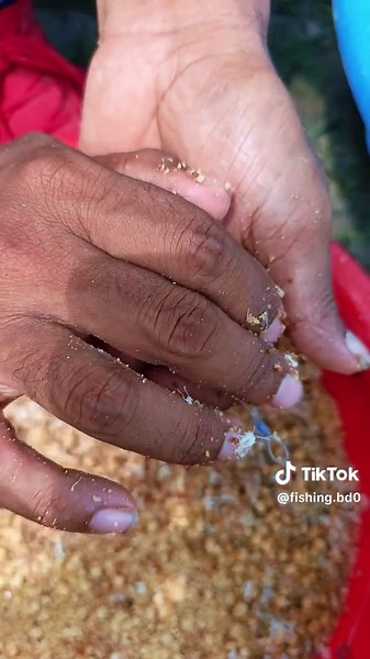 Effective Fishing Bait Techniques for Better Catch