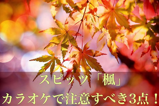 スピッツ「楓」を男がカラオケで歌うときの3つの注意点は？ – にょけんのボックス