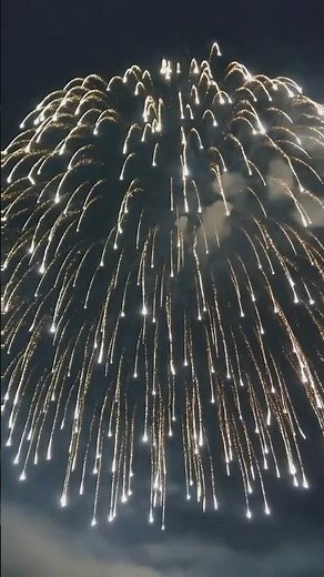 12" Inch Competition Display Shells #2023 #liuyangfireworks #花火 #12寸礼花弹 #湘赣边新品大赛作品 #diwali