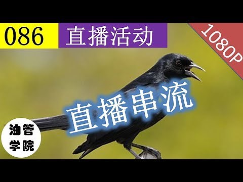 8.2 直播串流！如何使用obs做直播？怎样设置proxifier代理？怎样设置Youtube直播活动？ - 油管学院