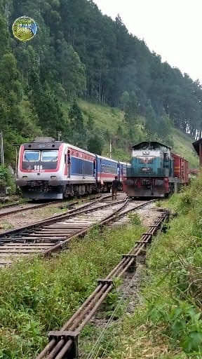 Class S14 & Class W3 🚂❤🇱🇰 Sri Lanka Railways #srilankalocomotive #trainvideo #SriLankaTransport #trainjourney #diyathalawa | Sri Lanka Railway Photos