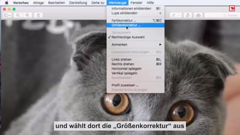 Bilder am Mac verkleinern - So klappt's