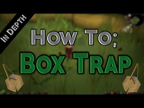 How To Lay Box Traps Efficiently