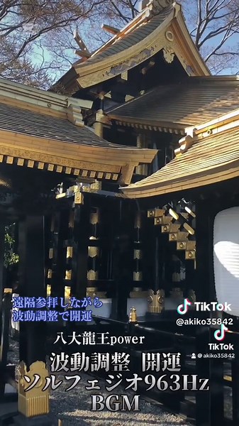 #八大龍王神社 #八代#開運#遠隔参拝#波動調整