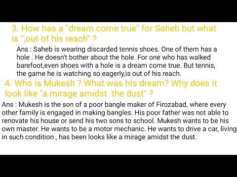 Flamingo 🦩 IMPORTANT QUESTIONS OF Lost Spring for mp board