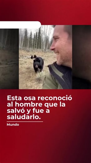 Videos de General_Mente (@general_mente) con “оригинальный звук - МАМАЙ”